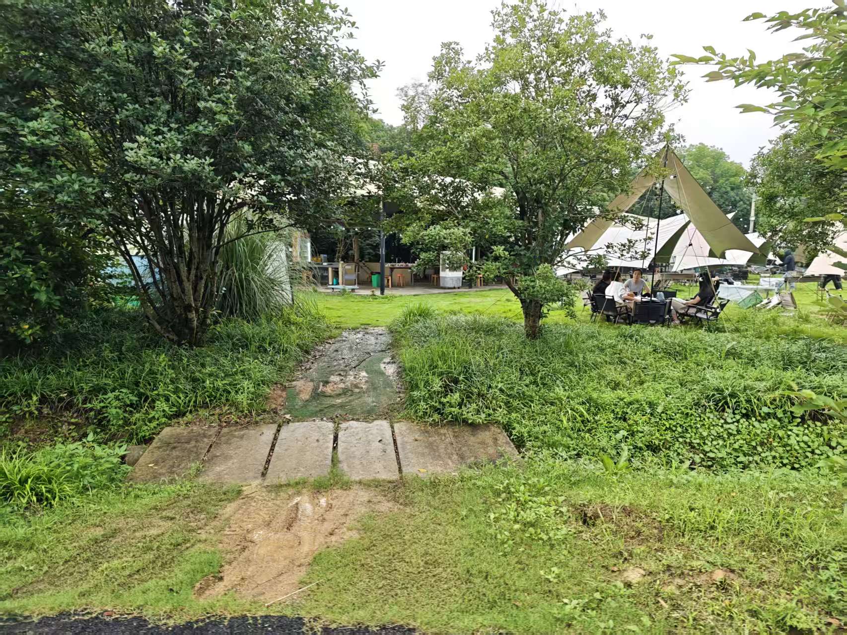 通向草坪帐篷的石板步道与绿化