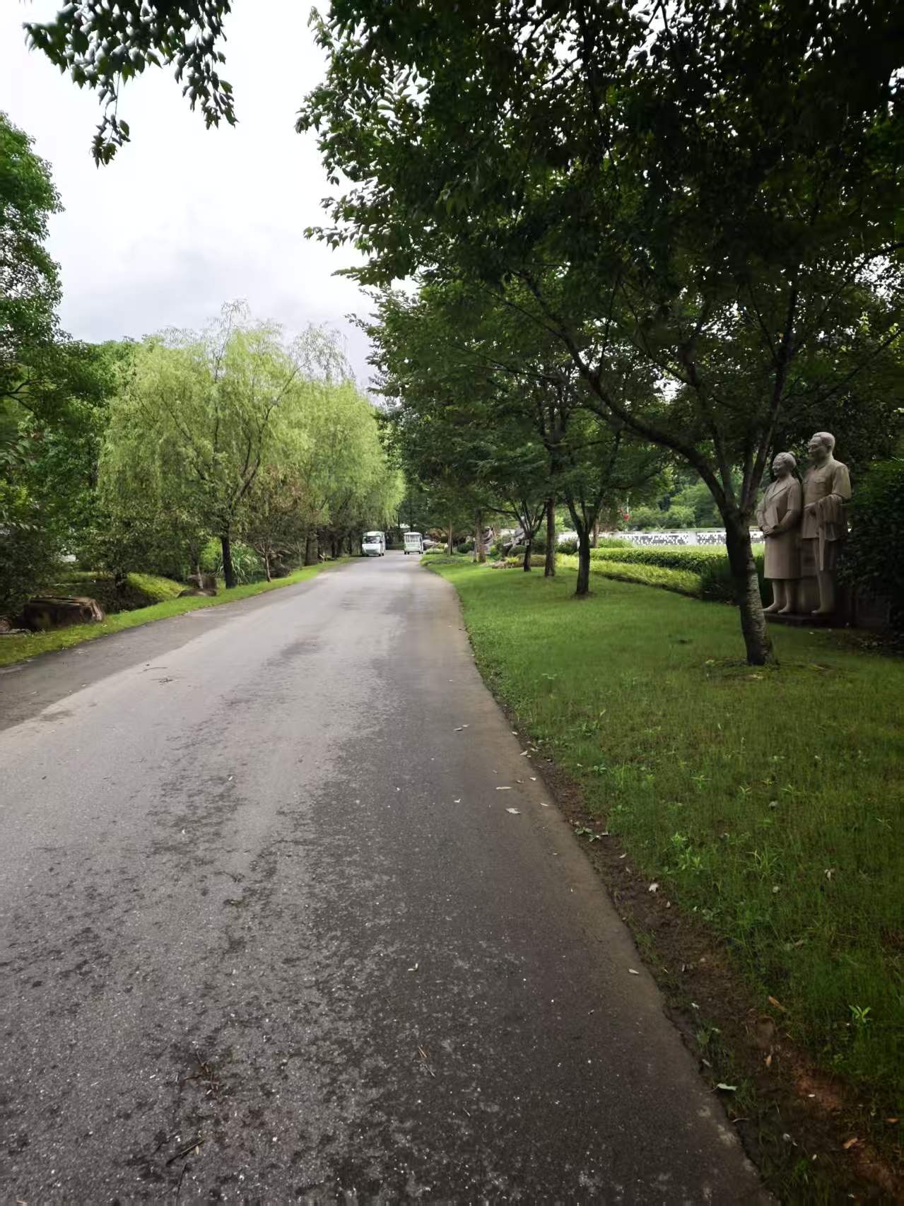 树木与竹丛旁延伸的园内道路