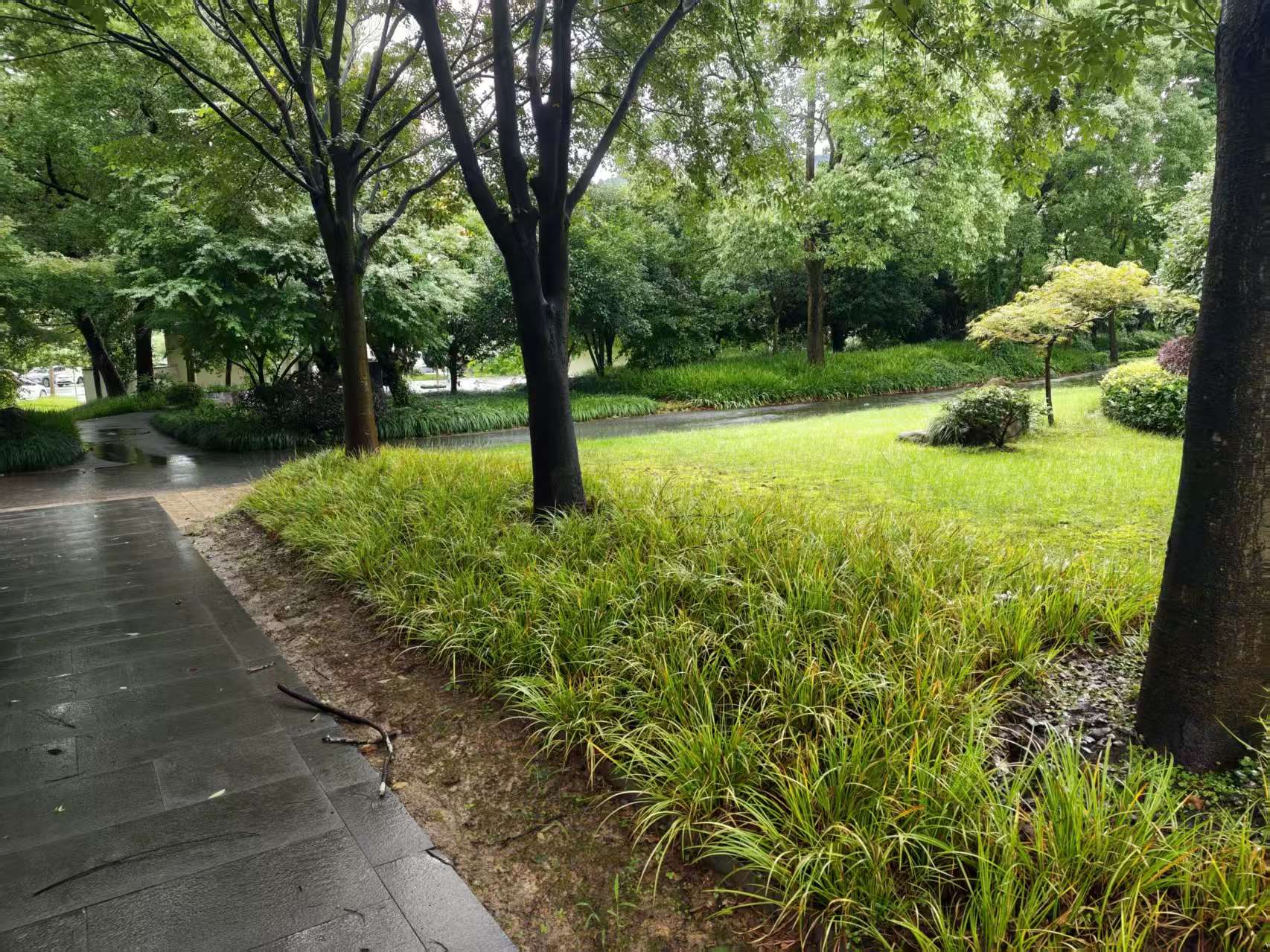 听到“安息堂”时，先把家人的安置需求说清楚