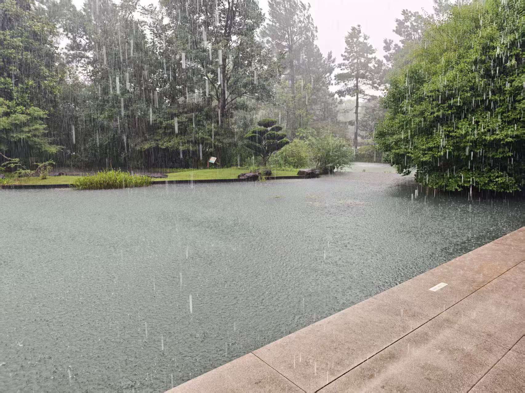 附近的公墓在哪里：从一次安吉龙山源来访说起