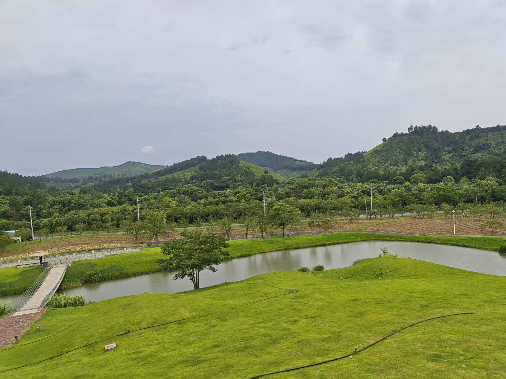 墓地价格怎么样？家人意见不一时，先谈清楚这件事