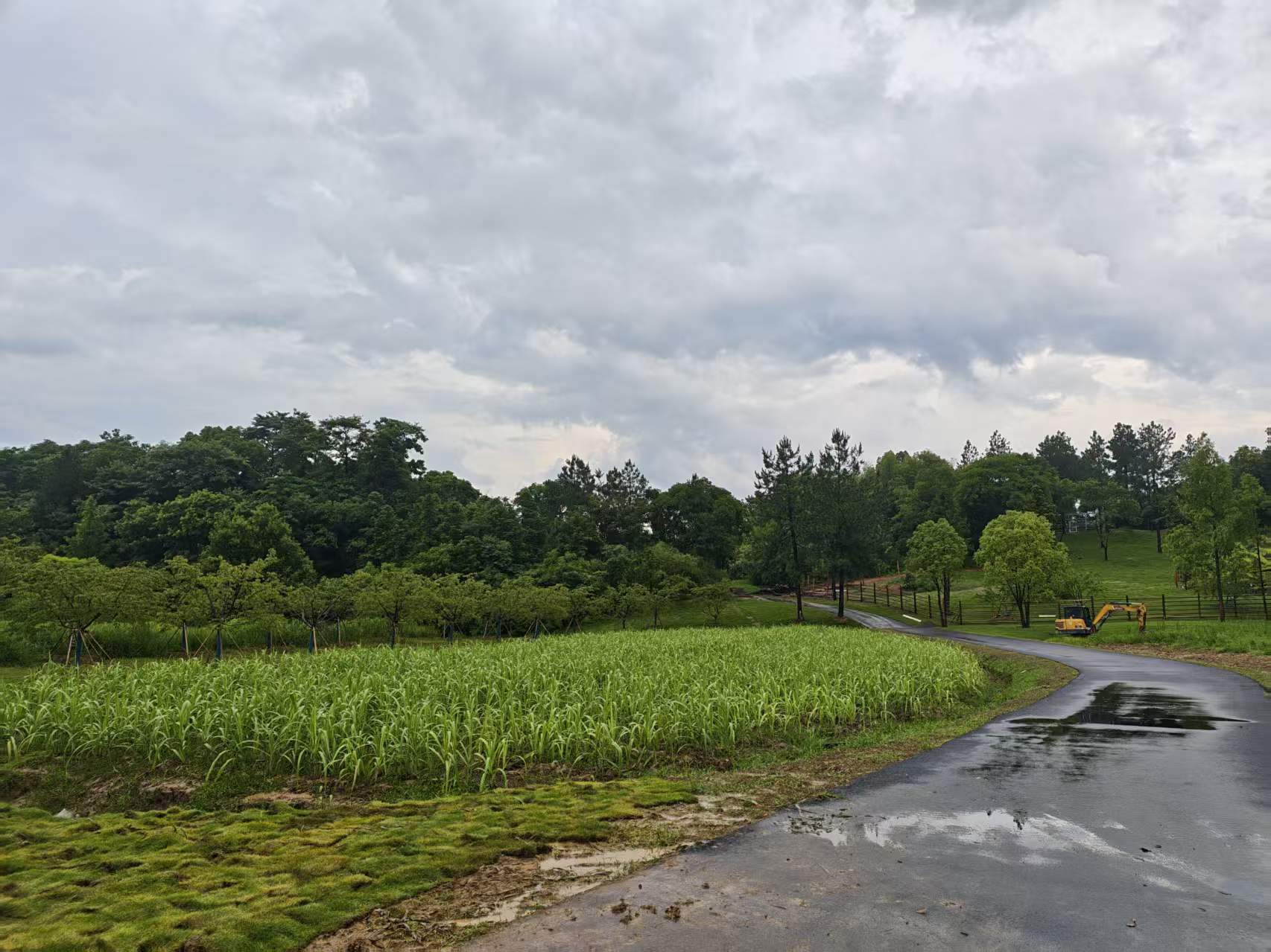家人问起九龙山公墓价格怎么样，先分清“价格”和“安放”两件事